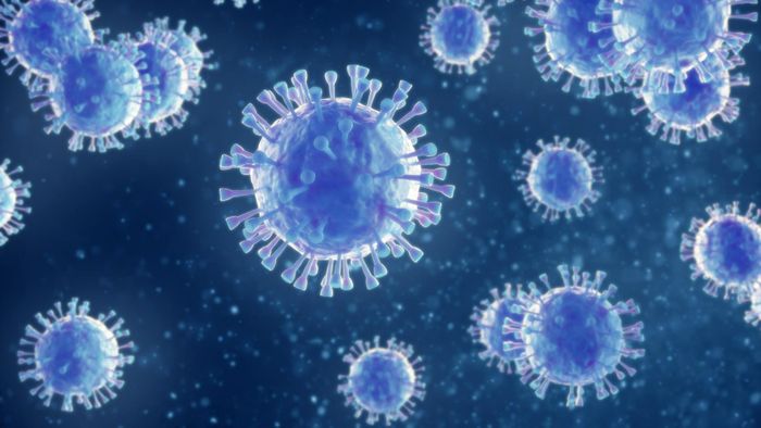 Molecular diagnosis of patients with hepatitis A virus infection using amplicon-based nanopore sequencing