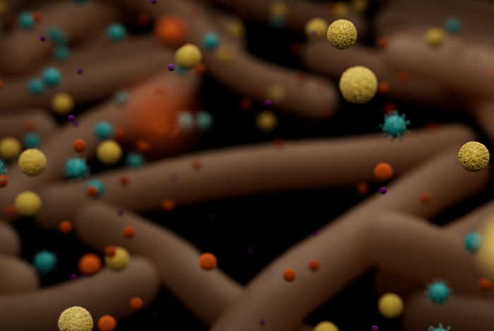 Workflow overview: pathogen metagenomics