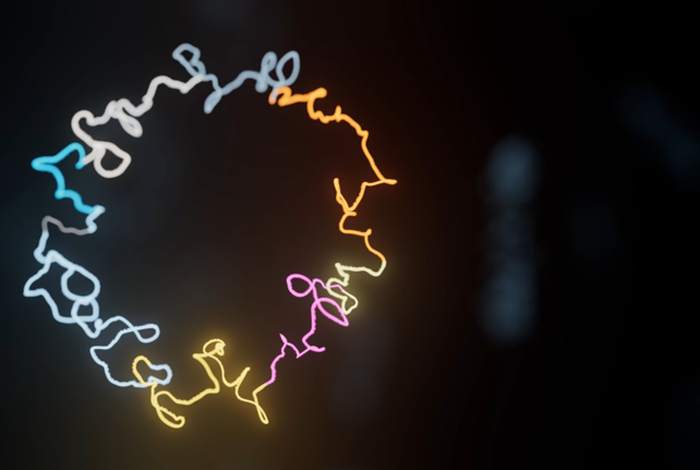 Workflow overview: whole-plasmid sequencing