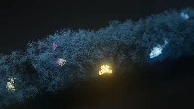 TB micro still