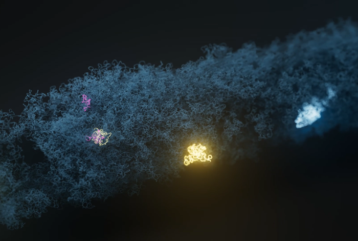 Challenging current gold-standard infectious disease diagnostic methods with full-length 16S sequencing | Oxford Nanopore Technologies