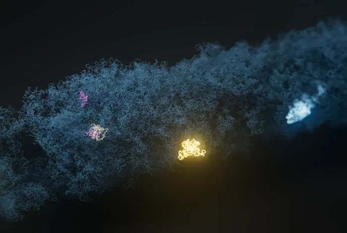 Challenging current gold-standard infectious disease diagnostic methods with full-length 16S sequencing | Oxford Nanopore Technologies