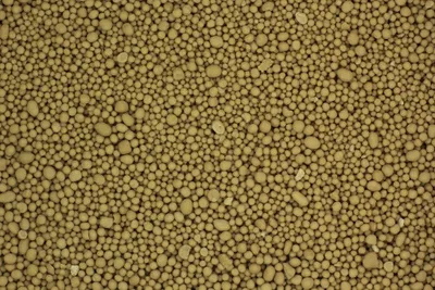 de novo assembly and population genomic survey of natural yeast isolates with the Oxford Nanopore MinION sequencer