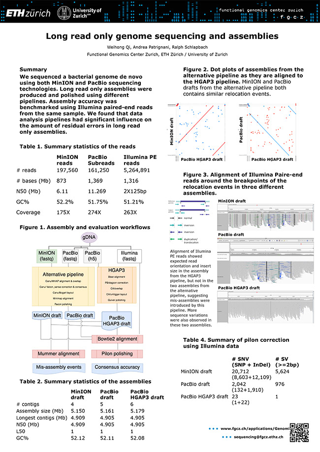 Long read only genome sequencing and assemblies