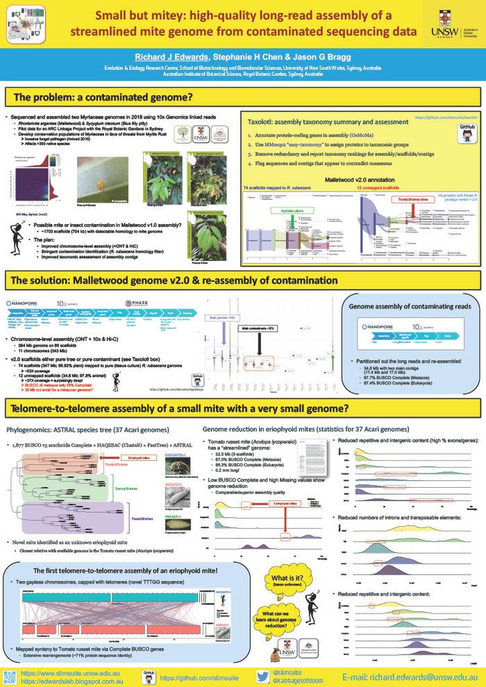 Small but mitey: high-quality long-read assembly of a streamlined mite genome from contaminated sequencing data