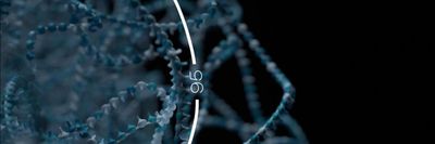 Visualisation of a structural variant in a DNA sequencing read