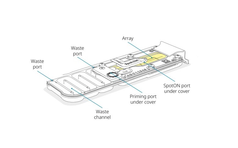 Illustration of the MinION Flow Cell