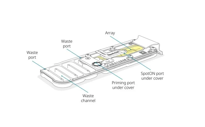 Illustration of the MinION Flow Cell