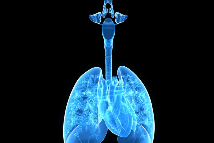 Sequencing and phasing cancer mutations in lung cancers using a long-read portable sequencer