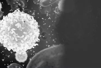 Single-cell long-read whole-genome sequencing reveals somatic transposon activity in human brain