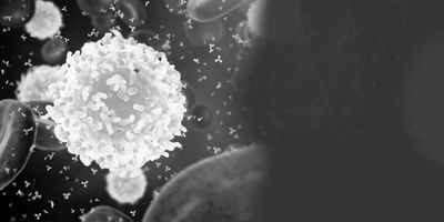 Single-cell long-read whole-genome sequencing reveals somatic transposon activity in human brain