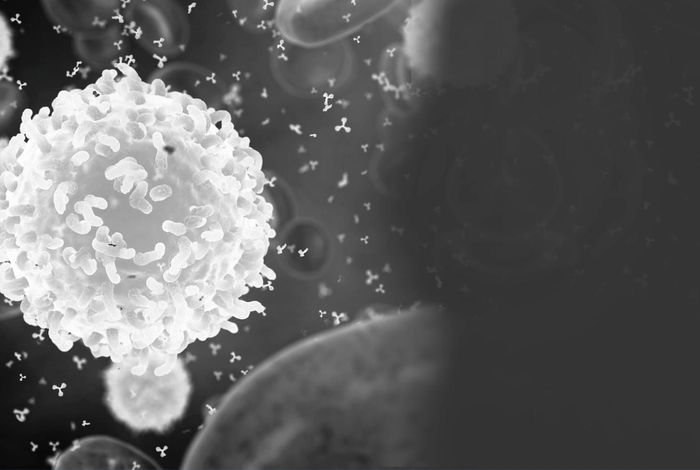 Single-cell long-read whole-genome sequencing reveals somatic transposon activity in human brain