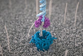 How nanopore sequencing works
