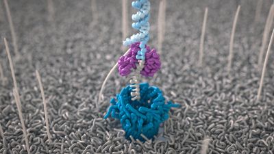 How nanopore sequencing works