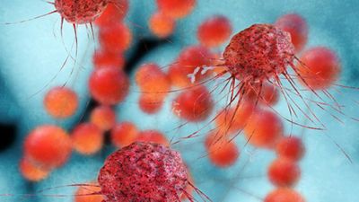 Joint fragmentomic and methylation signatures of cfDNA for cancer detection