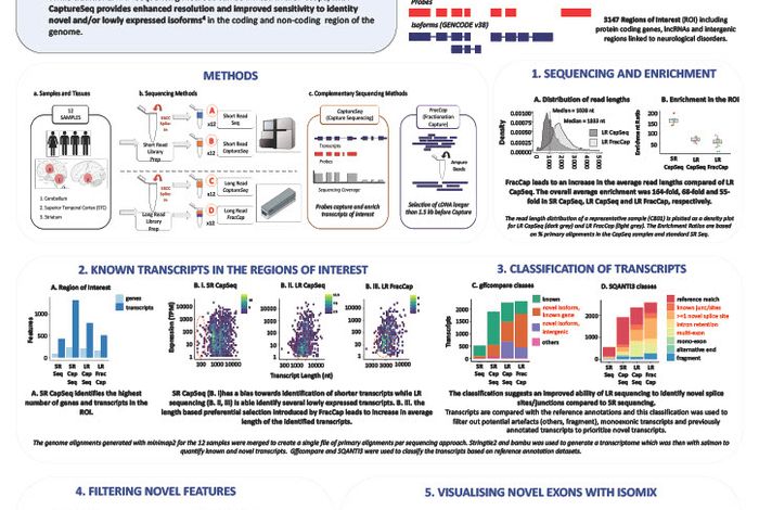 Long reads vs short reads: identification and quantification of known and novel isoforms implicated in neuropsychiatric disorders