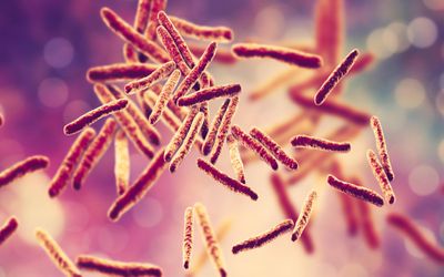 Mycobacterium tuberculosis