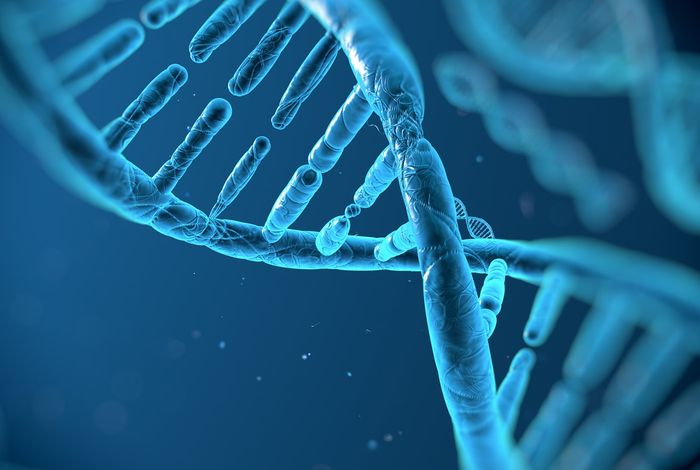 Complete sequences of six Major Histocompatibility Complex haplotypes, including all the major MHC class II structures