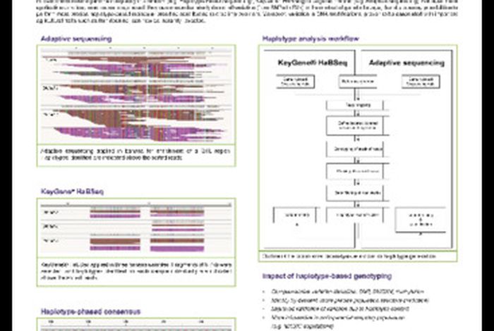 Unlocking the power of haplotype-based molecular breeding using long read DNA sequencing