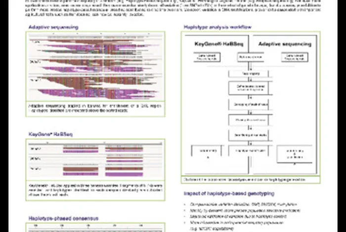Unlocking the power of haplotype-based molecular breeding using long read DNA sequencing