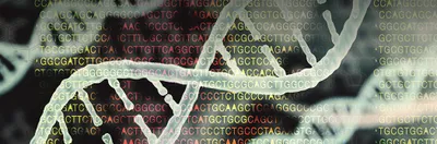 Oxford Nanopore at InSiGHT 2026