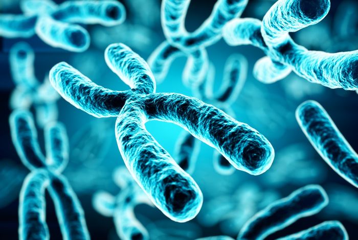 Transcriptional activity and epigenetic regulation of transposable element in the symbiotic fungus *Rhizophagus irregularis*