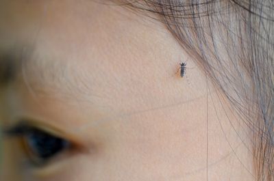 Serotyping dengue virus with isothermal amplification and a portable sequencer