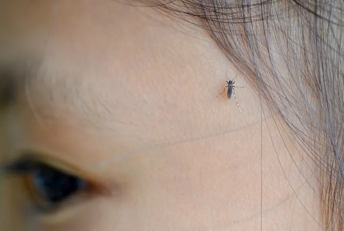 Serotyping dengue virus with isothermal amplification and a portable sequencer