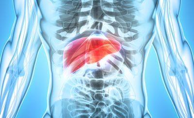 Culture-independent analysis of liver abscess using nanopore sequencing