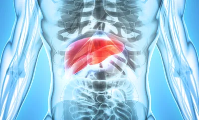 Culture-independent analysis of liver abscess using nanopore sequencing