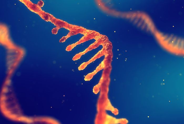 NCM 2023 Singapore: Detecting RNA structures using nanopore sequencing