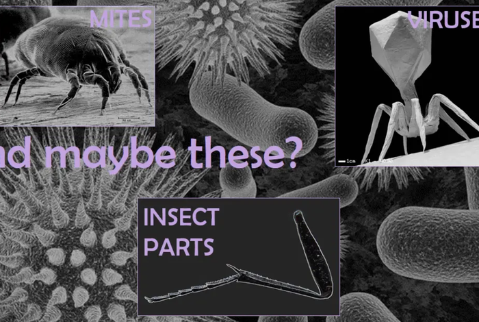 #OneMoreFlowCell: Laura Tipton