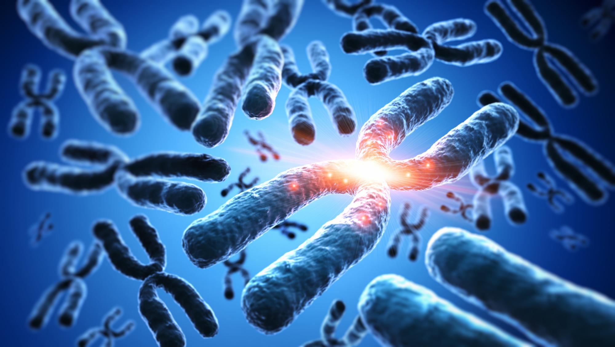 Chromosome