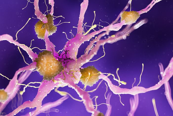 Long-read transcriptomic identification of synaptic adaptation to amyloid pathology in the AppNL-G-F knock-in mouse model of the earliest phase of Alz