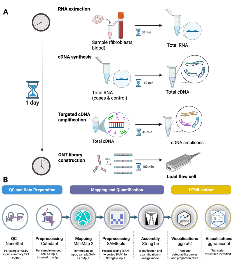 Montgomery et al 2026