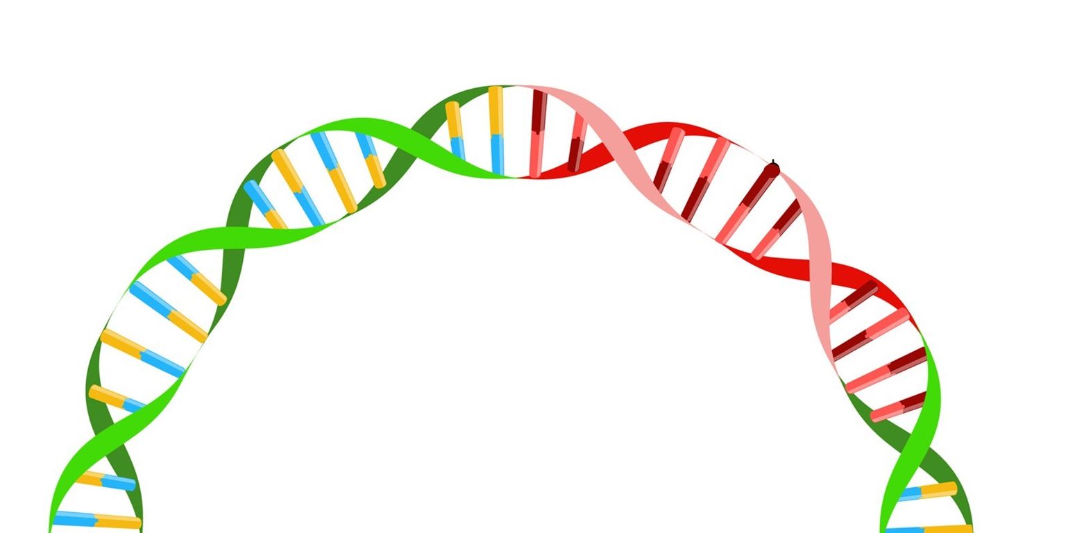 Core lab webinar series: A new 'gold standard' solution for complete plasmid sequencing