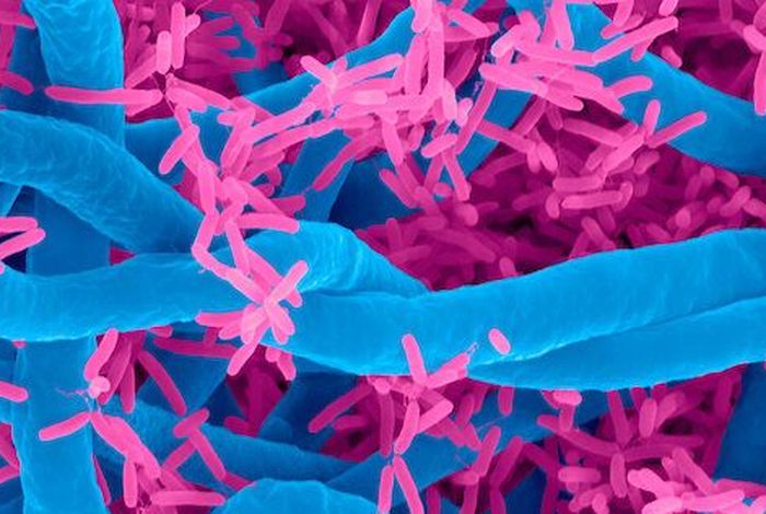 Evaluation of Oxford Nanopore MinION Sequencing for 16S rRNA Microbiome Characterization