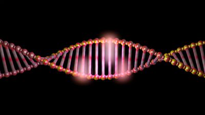 Structural variation