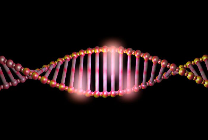Targeted, amplification-free DNA sequencing using CRISPR/Cas9