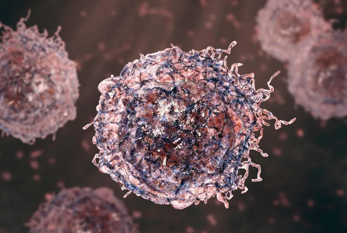 Investigating epigenomic alterations in cancer with nanopore sequencing