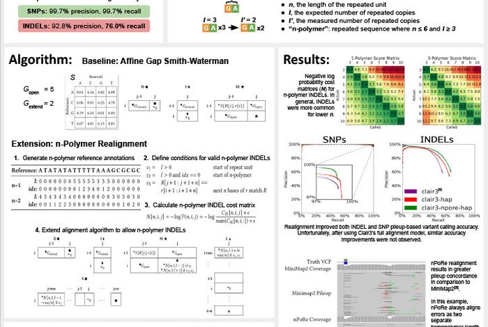 nPoRe: n-polymer realigner for improved pileup-based variant calling
