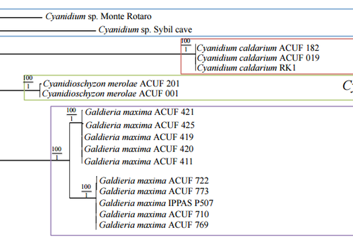 Using MinION nanopore sequencing to generate a de novo eukaryotic draft genome: preliminary physiological and genomic description of the extremophilic red alga Galdieria sulphuraria strain SAG 107.79