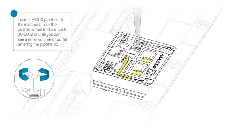removing_air_from_port_PROM_edit_feb2025