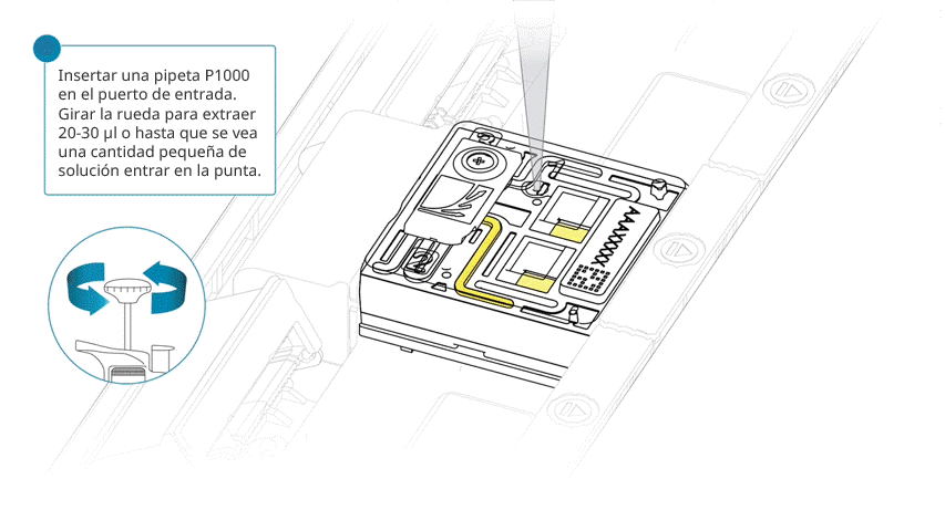 ES-removing_air_from_port_PROM_edit_feb2025