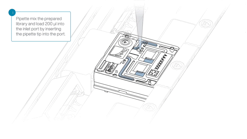 loading_200ul_sequencing_library_prom