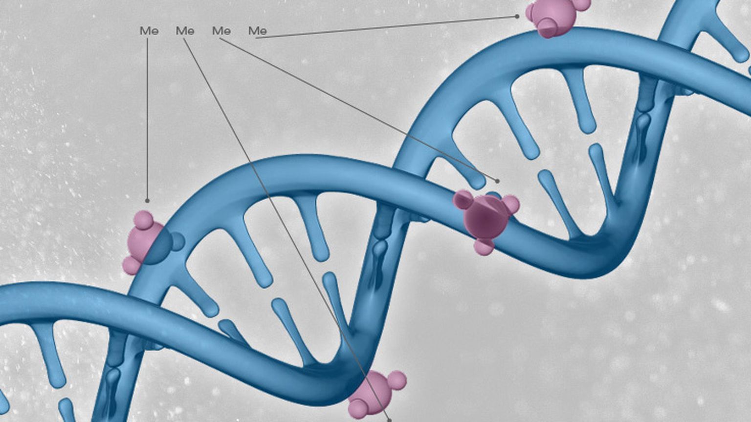 Towards inferring nanopore sequencing ionic currents from nucleotide chemical structures