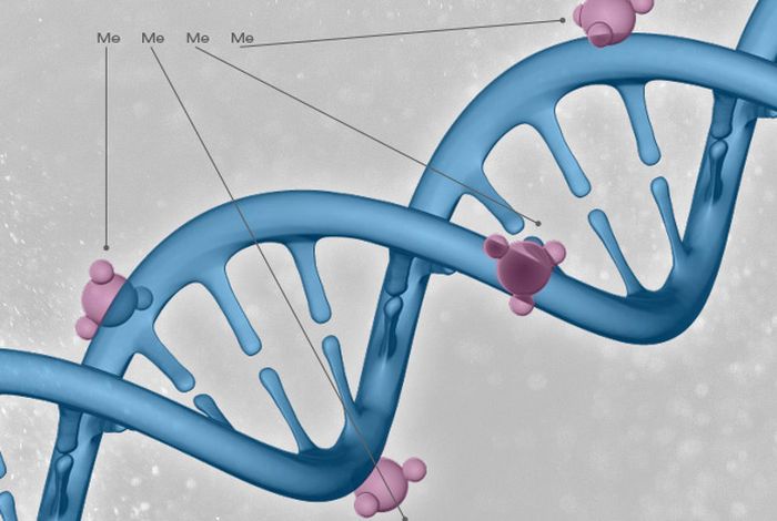 Towards inferring nanopore sequencing ionic currents from nucleotide chemical structures