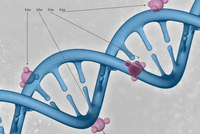 Towards inferring nanopore sequencing ionic currents from nucleotide chemical structures