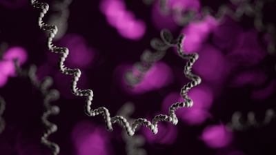 RNA strand on a purple background