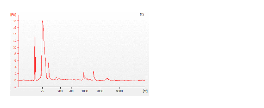 RNA Bioanalyzer degraded